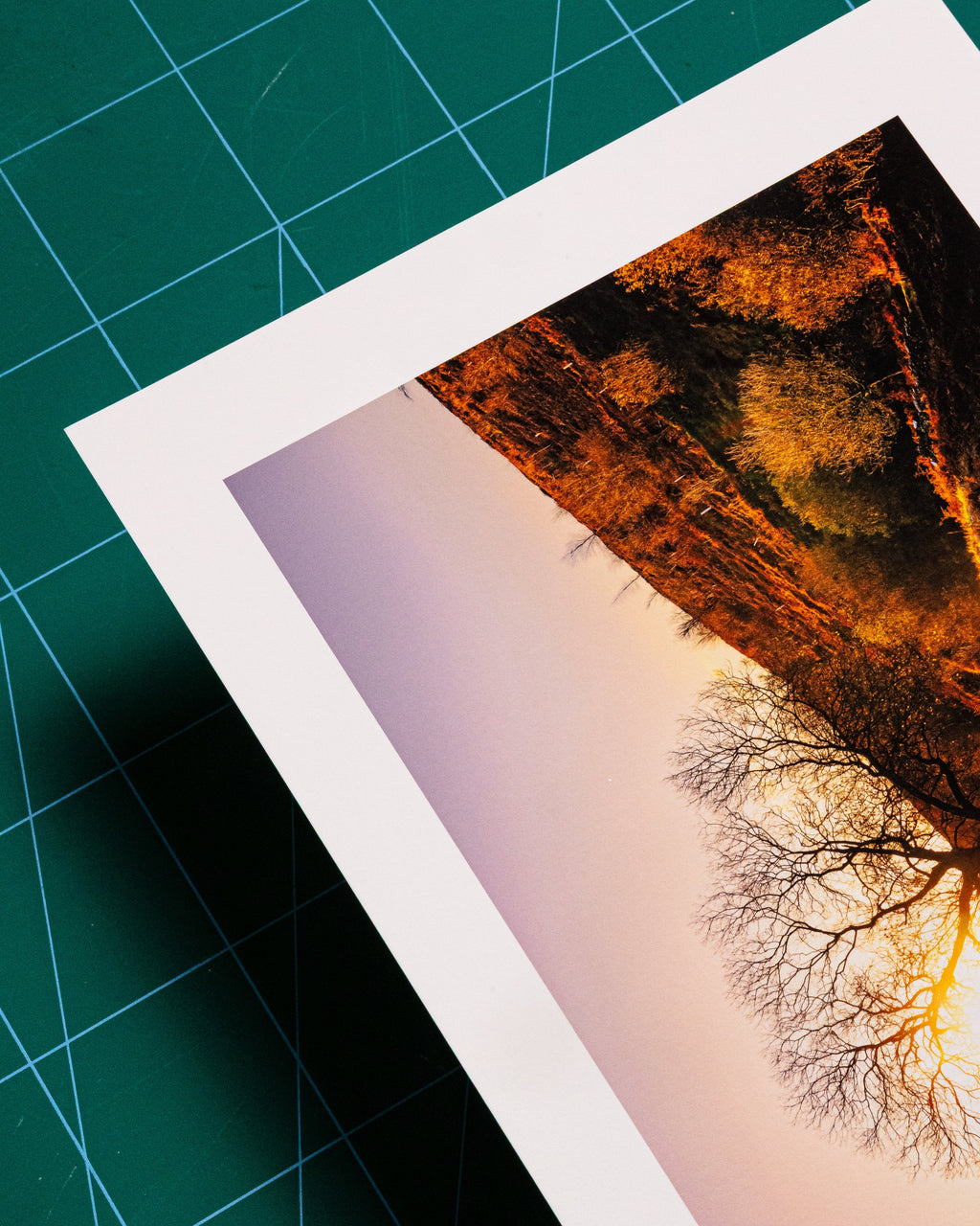 Fine Art Giclée Prints